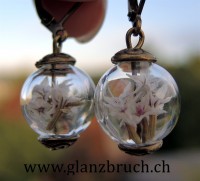 Staticen Ohrringe bronzefarben